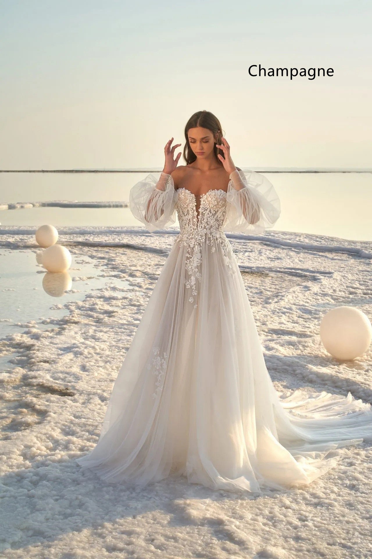 Boho Off-the-Shoulder Tulle Wedding Dress with Detachable Puff Sleeves.